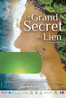 Le Grand Secret du Lien (2020)